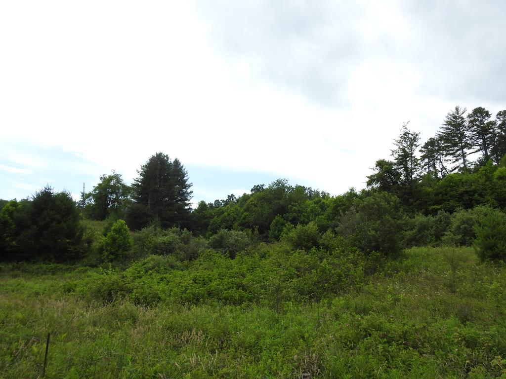 4168 Spring Valley Road Elk Creek, VA 24326 - Photo 26 of 28 Gallery Image 26