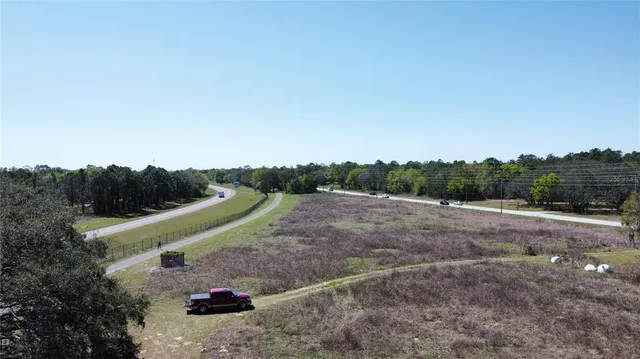 a view of a park with large trees