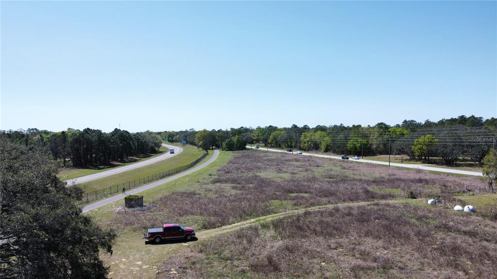 a view of a park with large trees