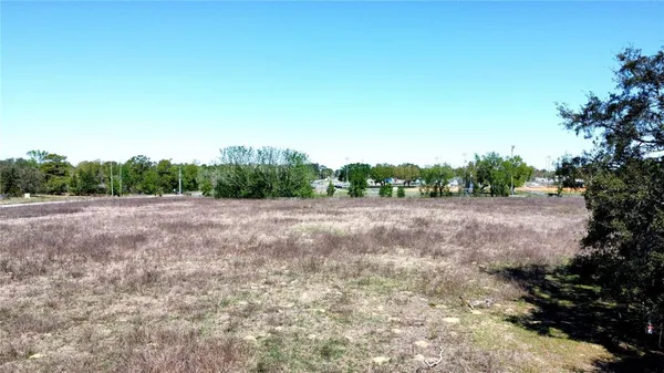 a view of a field with trees
