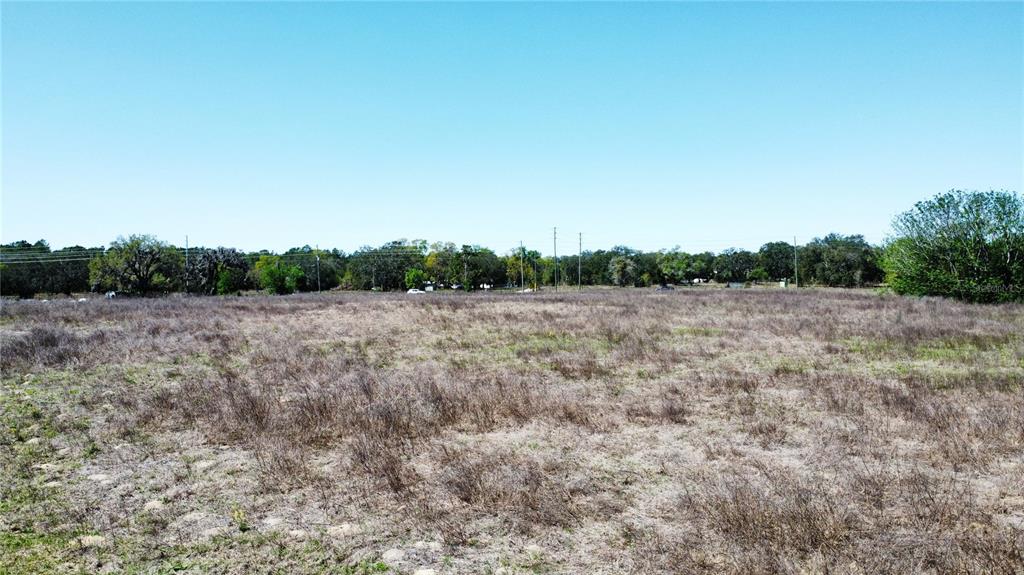 1290 Anderson Snow Road Spring Hill, FL 34609 - Photo 20 of 21 a view of a field with trees in background