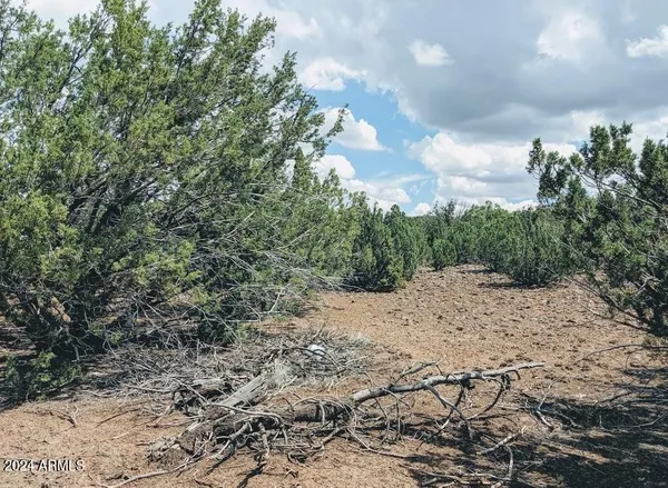 $6,999 | 1 County Road 8060, Concho, AZ 85924