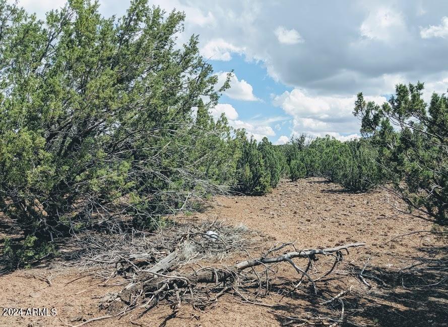 1 County Road 8060 Show Low, AZ 85901 - Photo 11 of 16 1 COUNTY ROAD 8060