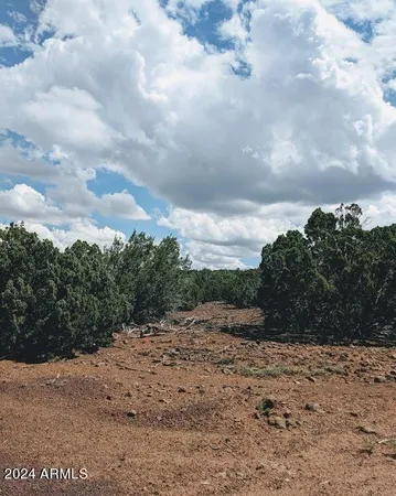 $6,999 | 1 County Road 8060, Concho, AZ 85924