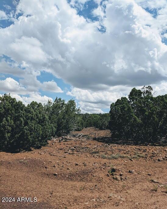 1 County Road 8060 Show Low, AZ 85901 - Photo 12 of 16 1 COUNTY ROAD 8060