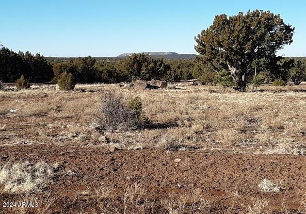 1 County Road 8060 Show Low, AZ 85901 - Photo 13 of 16 1 COUNTY ROAD 8060