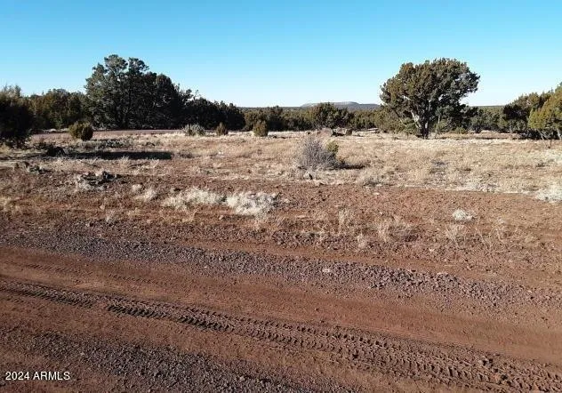 $7,499 | 1 County Road 8060, Show Low, AZ 85901
