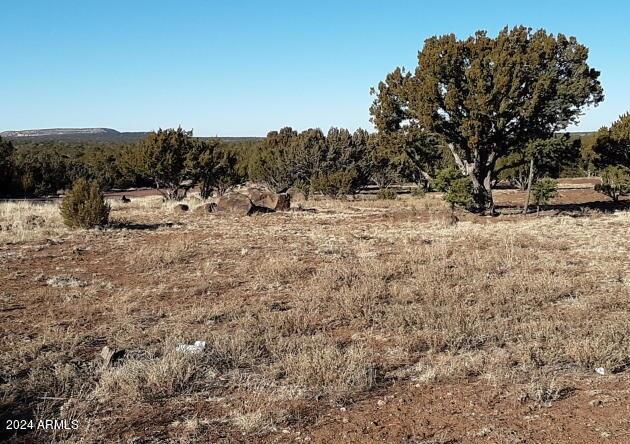 1 County Road 8060 Show Low, AZ 85901 - Photo 15 of 16 1 COUNTY ROAD 8060