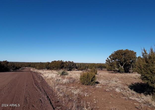 1 County Road 8060 Show Low, AZ 85901 - Photo 16 of 16 1 COUNTY ROAD 8060