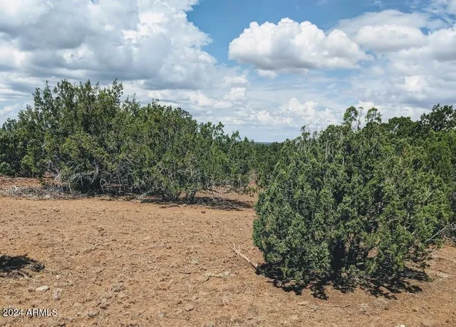 $7,499 | 1 County Road 8060, Show Low, AZ 85901