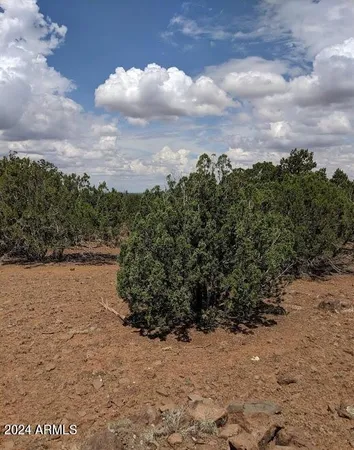 $6,999 | 1 County Road 8060, Concho, AZ 85924