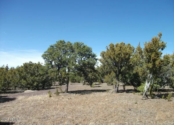 $6,999 | 1 County Road 8060, Concho, AZ 85924