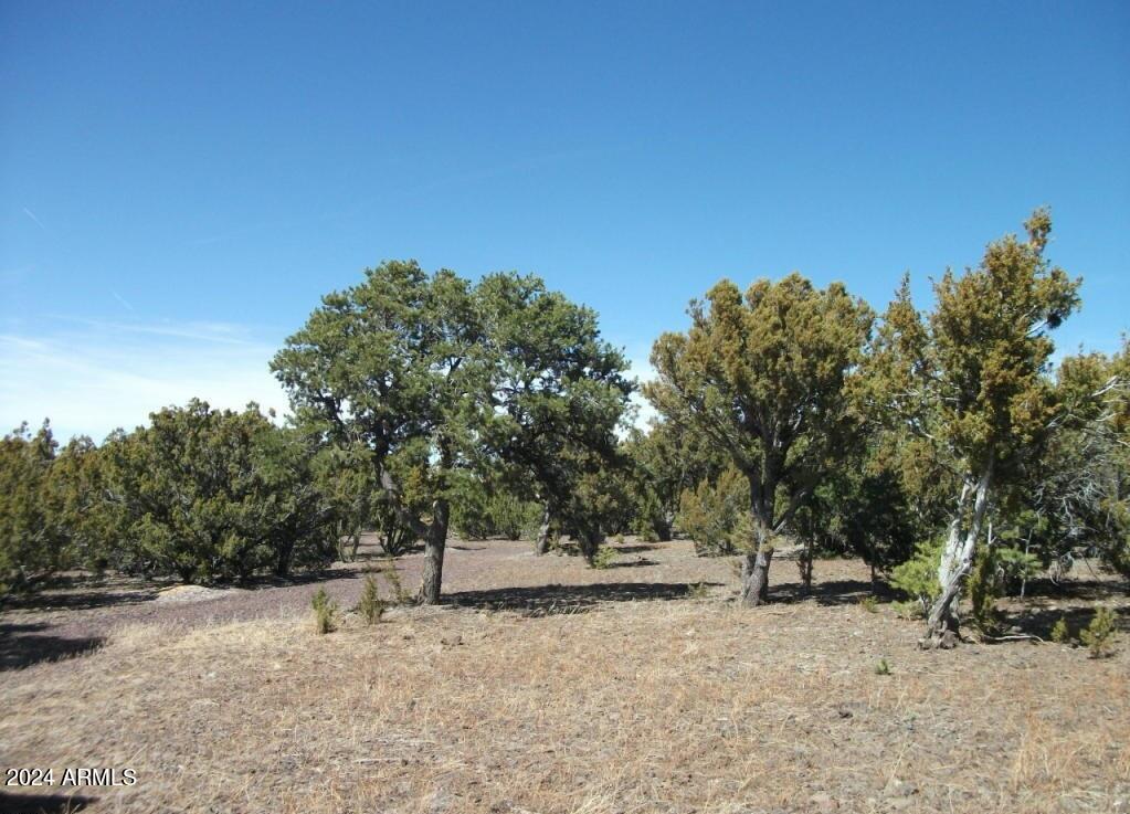 1 County Road 8060 Show Low, AZ 85901 - Photo 7 of 16 1 COUNTY ROAD 8060