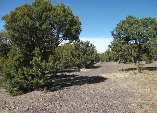 $7,499 | 1 County Road 8060, Show Low, AZ 85901