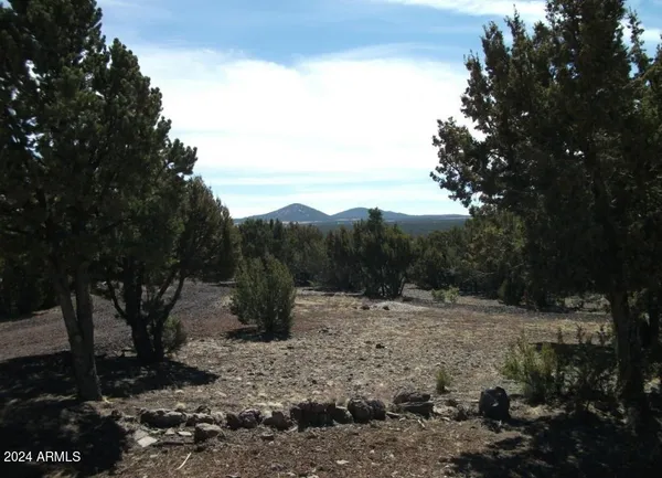 $6,999 | 1 County Road 8060, Concho, AZ 85924