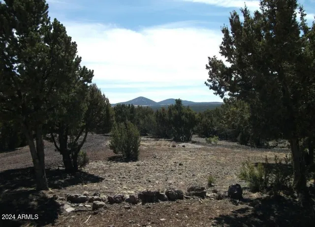 $7,499 | 1 County Road 8060, Show Low, AZ 85901