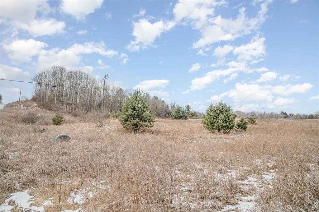 Vl North Vandecar Road Farwell, MI 48622 - Photo 6 of 11