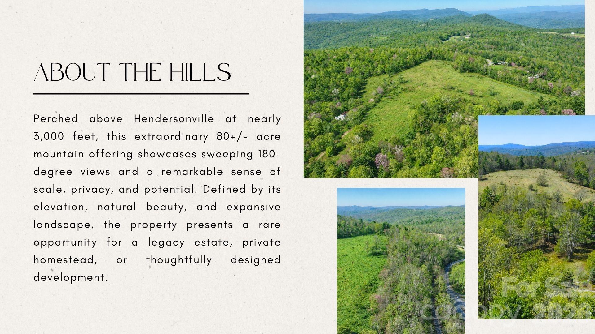 4105 Pinnacle Mountain Road Zirconia, NC 28790 - Photo 6 of 23 unknown