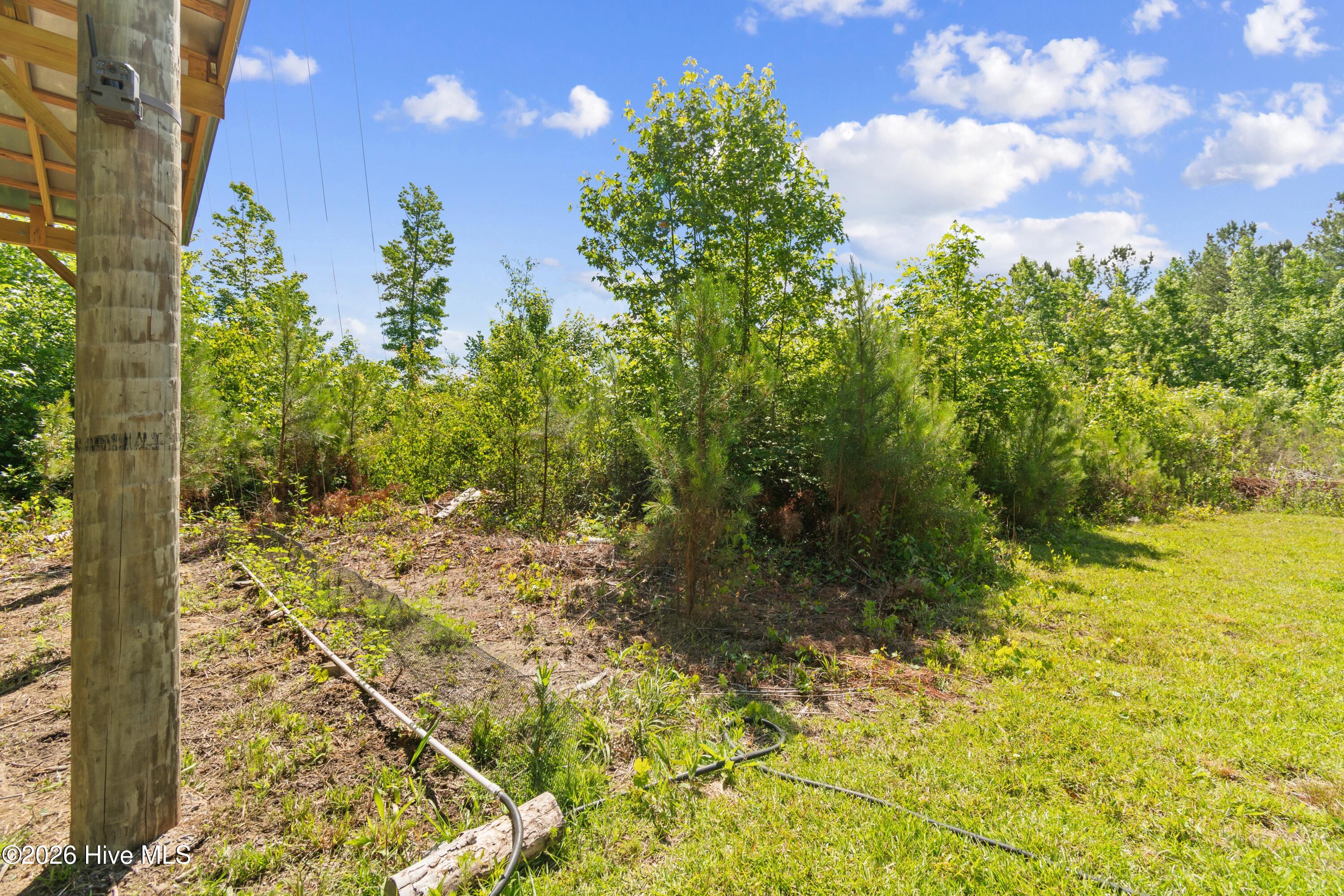 5840 Green Swamp Road Northwest Ash, NC 28420 - Photo 27 of 64 New Hops Growing