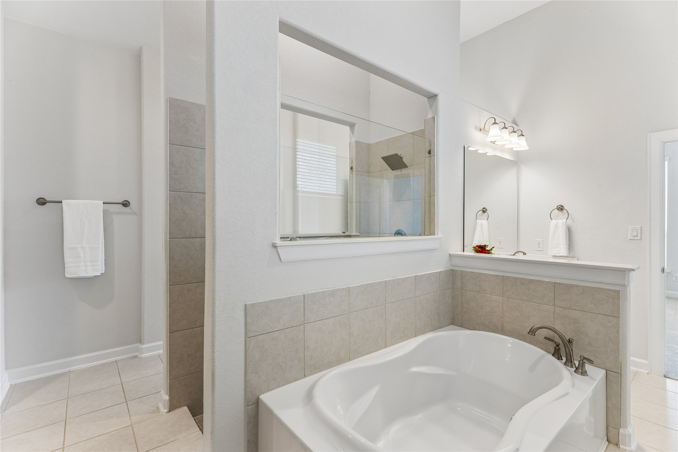 298 Wild Pecan Loop Buda, TX 78610 - Photo 26 of 40 a bathroom with a sink and mirror