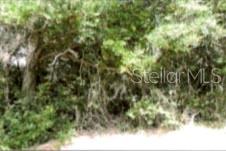 12325 Stagg Road Winter Garden, FL 34787 - Photo 4 of 7 Gallery Image 4