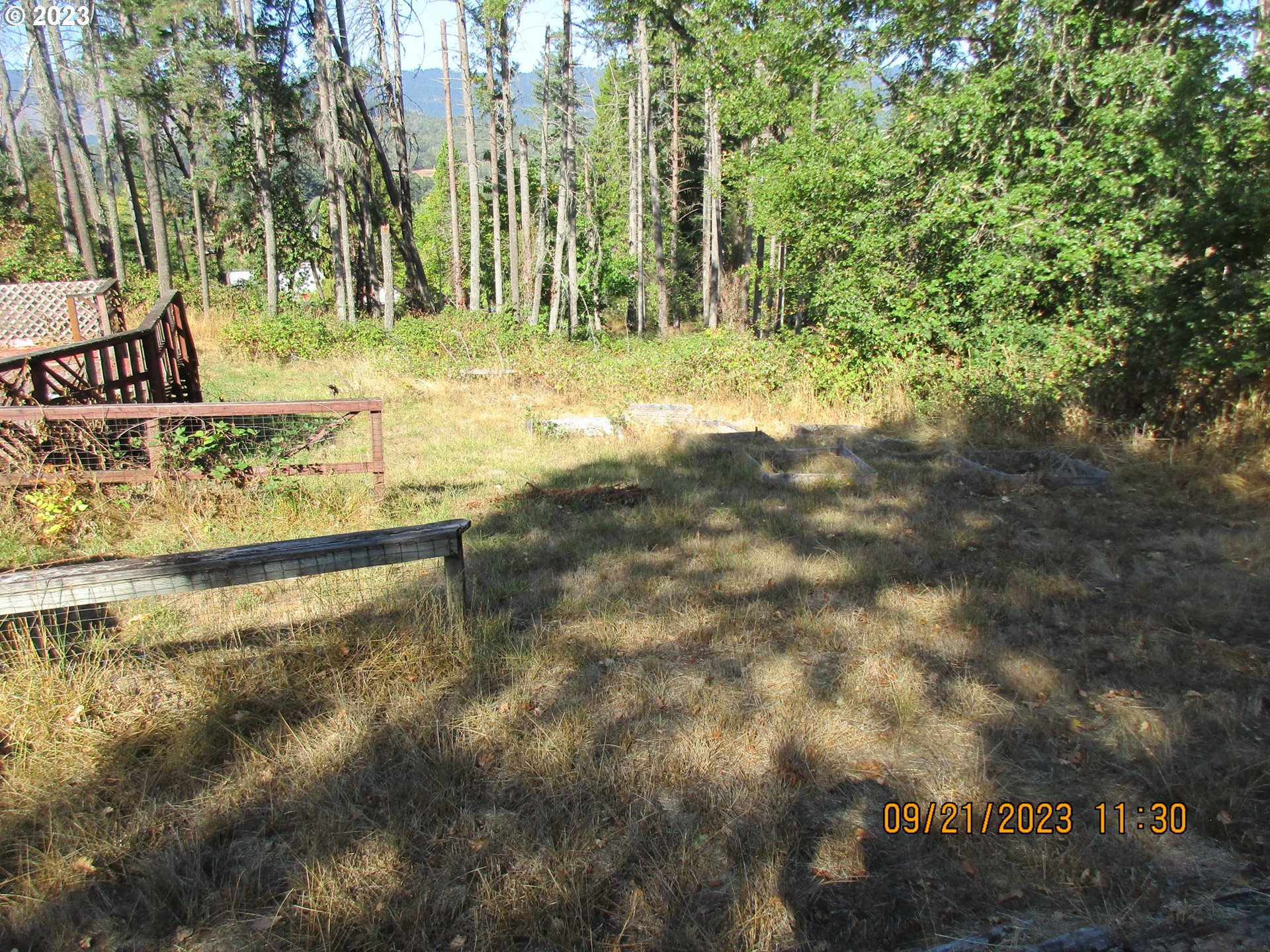 4609 Melrose Road Roseburg, OR 97471 - Photo 8 of 17 a view of a yard with large trees