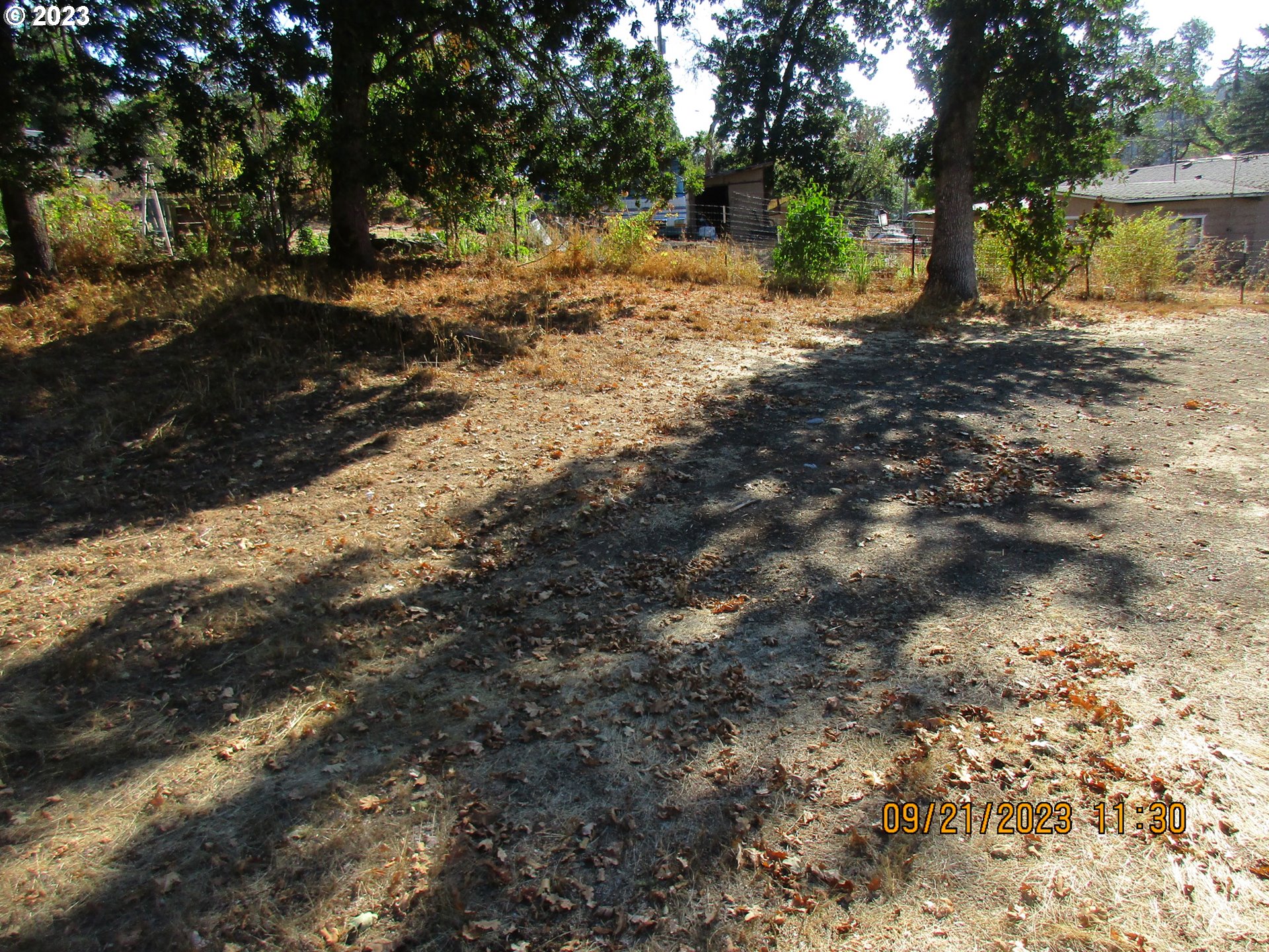 4609 Melrose Road Roseburg, OR 97471 - Photo 9 of 17 a view of a tree with a yard