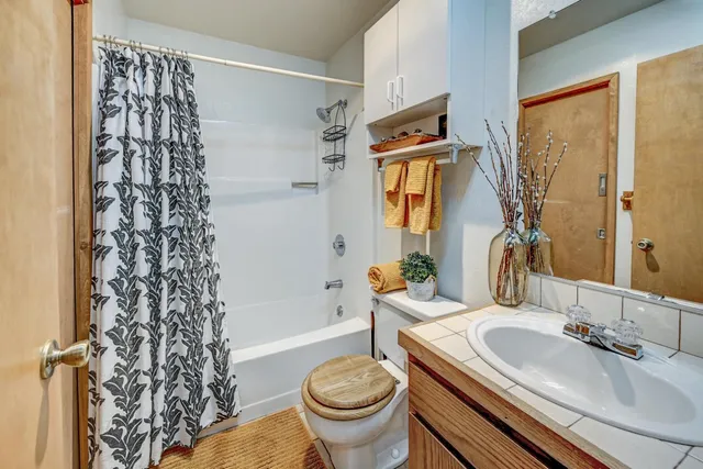 a bathroom with a sink toilet and shower