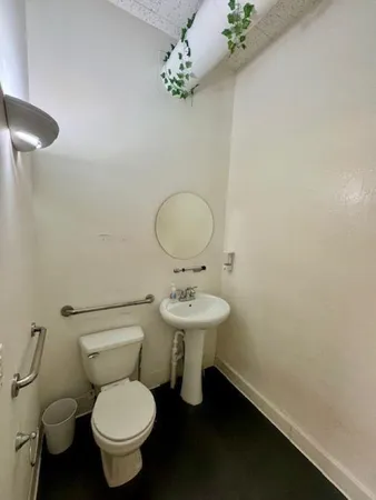 a bathroom with a sink mirror and toilet