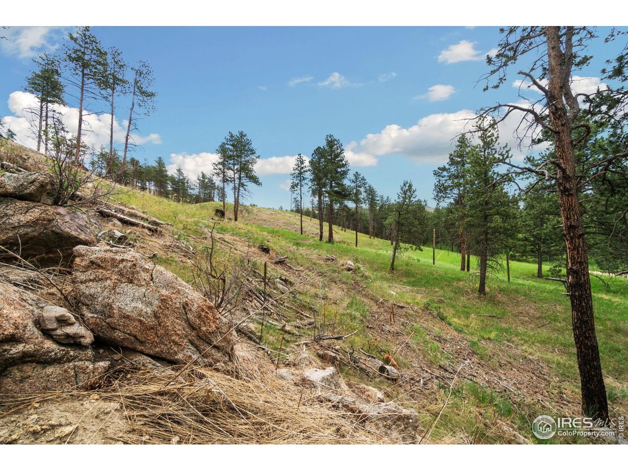 620 Davis Ranch Road Bellvue, CO 80512 - Photo 11 of 18 a view of a park