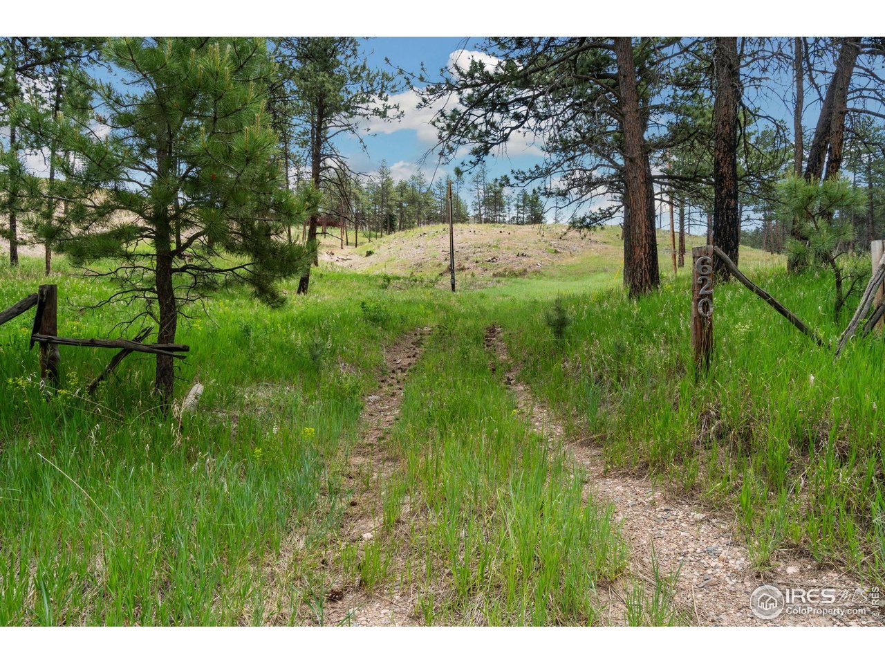 620 Davis Ranch Road Bellvue, CO 80512 - Photo 2 of 18 a view of yard with green space