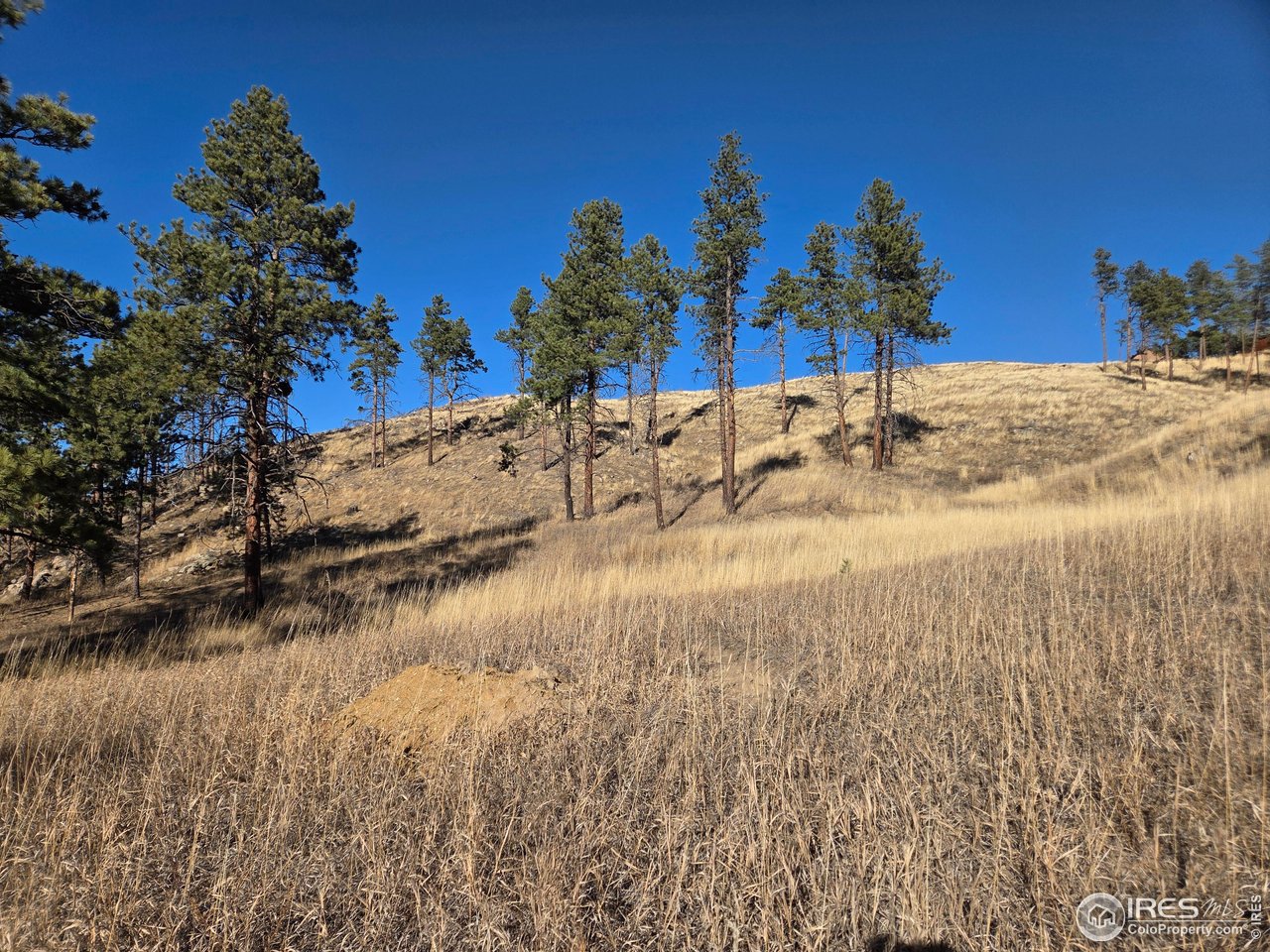 620 Davis Ranch Road Bellvue, CO 80512 - Photo 3 of 18 a view of a lake view