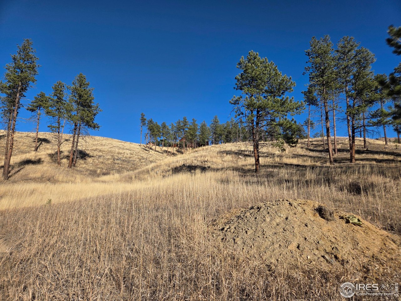 620 Davis Ranch Road Bellvue, CO 80512 - Photo 5 of 18 a view of lake view