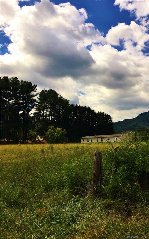 9999 Evans Road Canton, NC 28716 - Photo 2 of 9