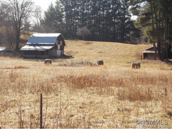 9999 Evans Road Canton, NC 28716 - Photo 5 of 9