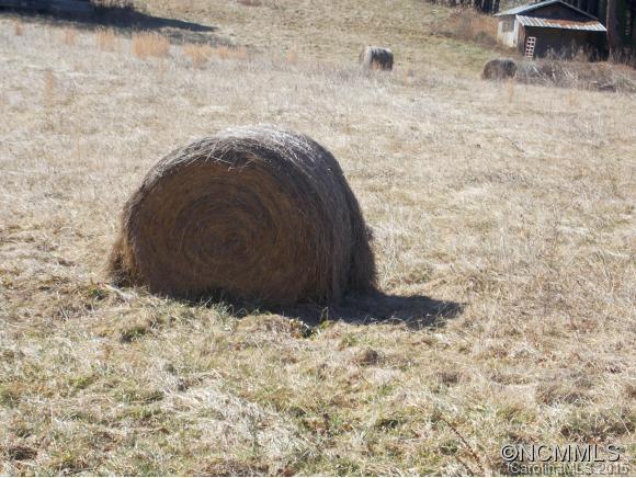 9999 Evans Road Canton, NC 28716 - Photo 9 of 9