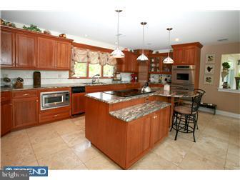 5296 Moyer Road Pipersville, PA 18947 - Photo 8 of 12 Gallery Image 8