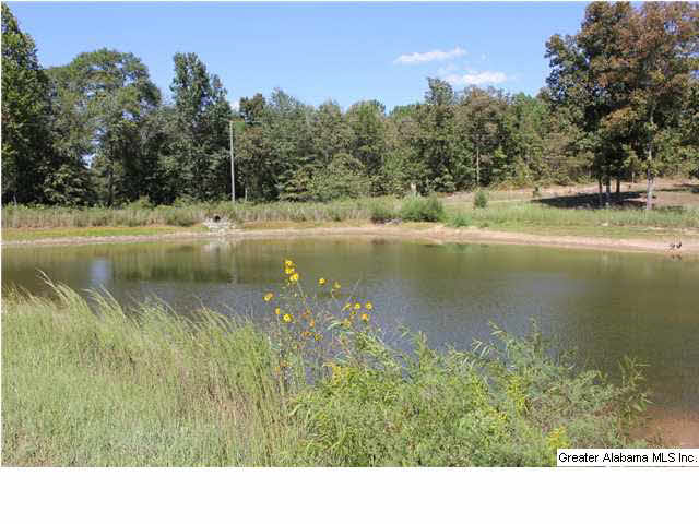 13084 Jackson Trace Road, Unit 94 83 AC Lincoln, AL 35096 - Photo 11 of 32