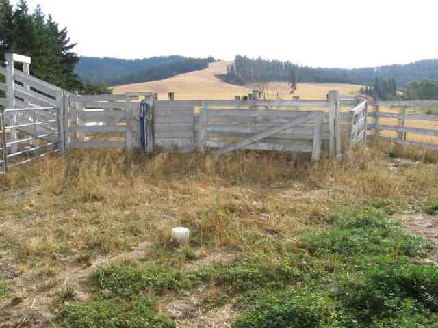 10001 North Morrison Road Spokane, WA 99217 - Photo 8 of 9