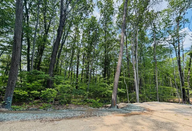 $175,000 | Lot F-88-9 Lot F-88-9 Aria Hill Drive, Wilton, NH 03086