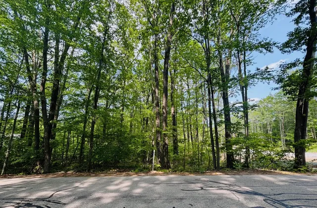 $175,000 | Lot F-88-9 Lot F-88-9 Aria Hill Drive, Wilton, NH 03086