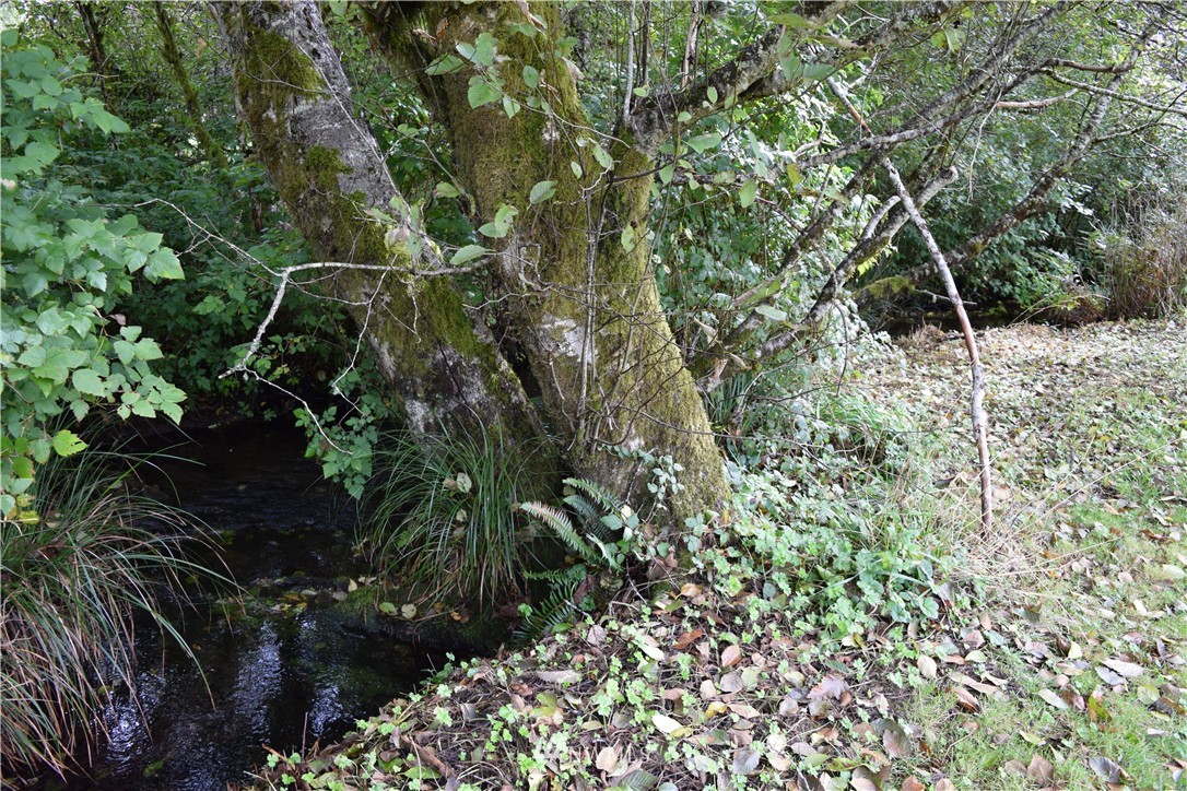 71 Chenois Valley Road Hoquiam, WA 98550 - Photo 3 of 25