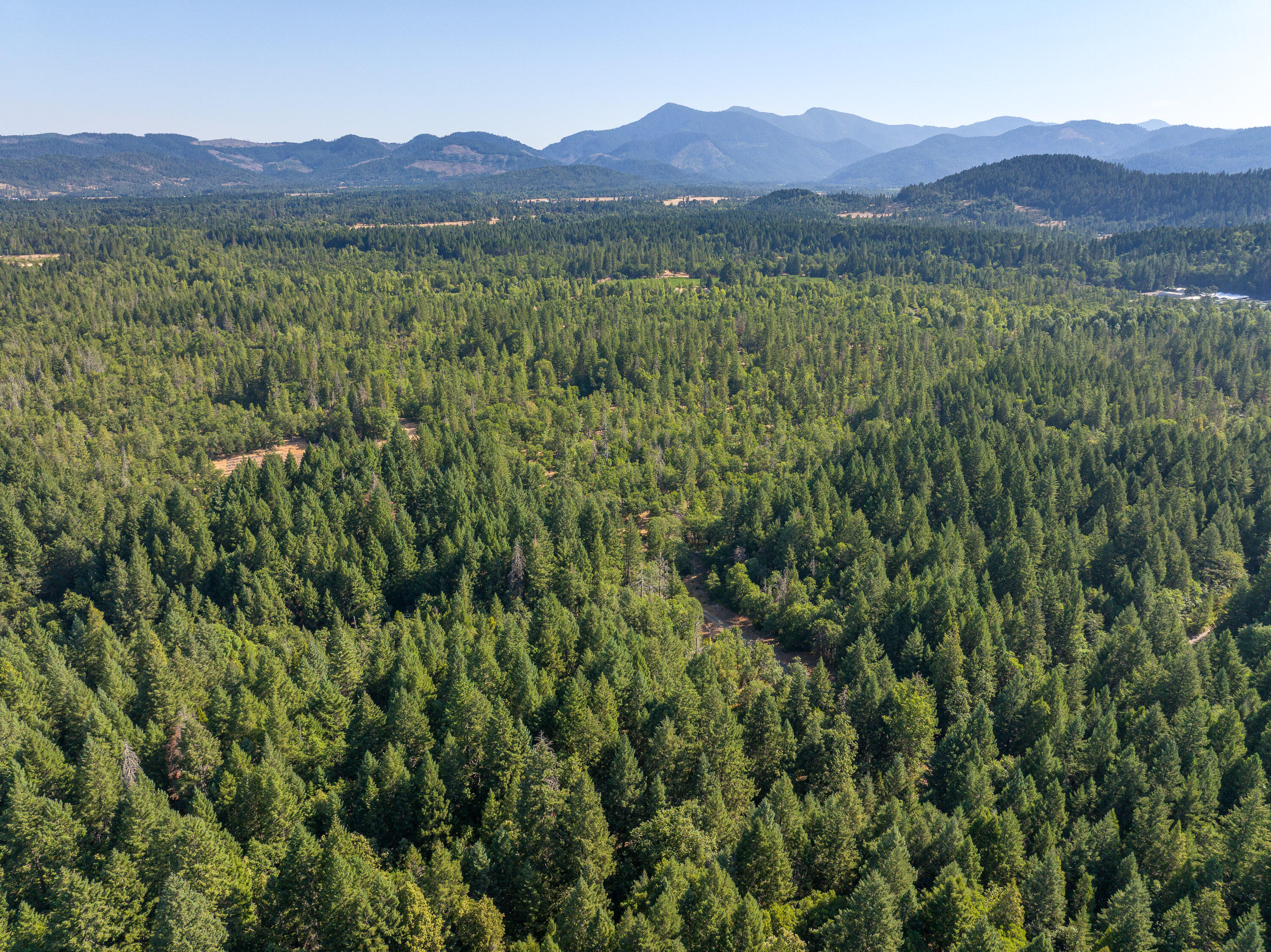 1257 Ridge Vista Drive Cave Junction, OR 97523 - Photo 16 of 26 1257RidgeVistaDr-018