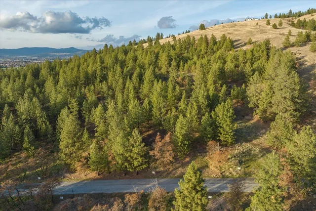 $449,900 | 25321 East Wyvern Lane, Unit LOT #3, Liberty Lake, WA 99019