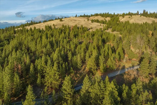 $449,900 | 25321 East Wyvern Lane, Unit LOT #3, Liberty Lake, WA 99019