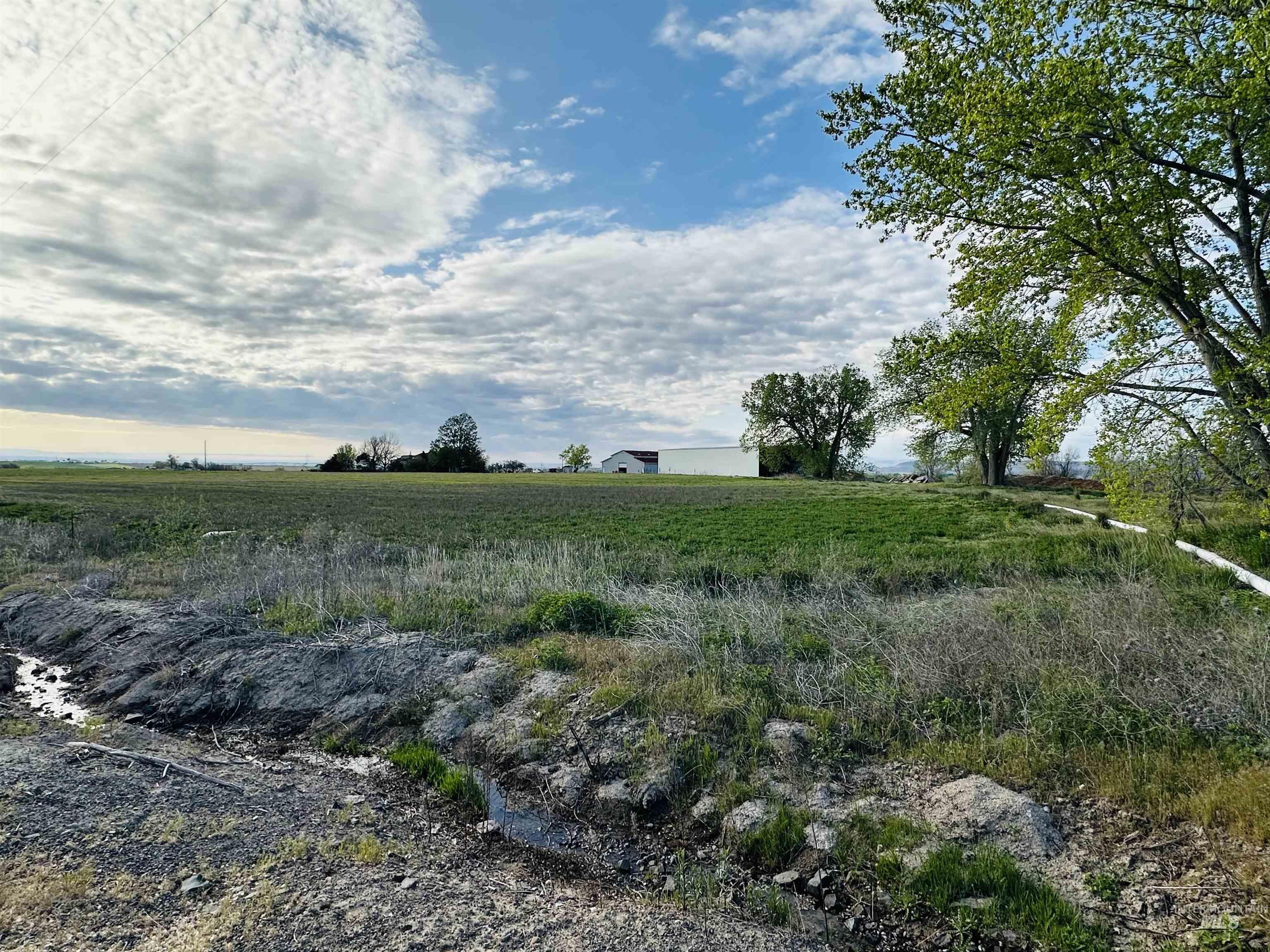 1049 Grand Avenue Nyssa, OR 97913 - Photo 42 of 50 Expansive agricultural land featuring a natural water channel, distant outbuildings, and mature trees