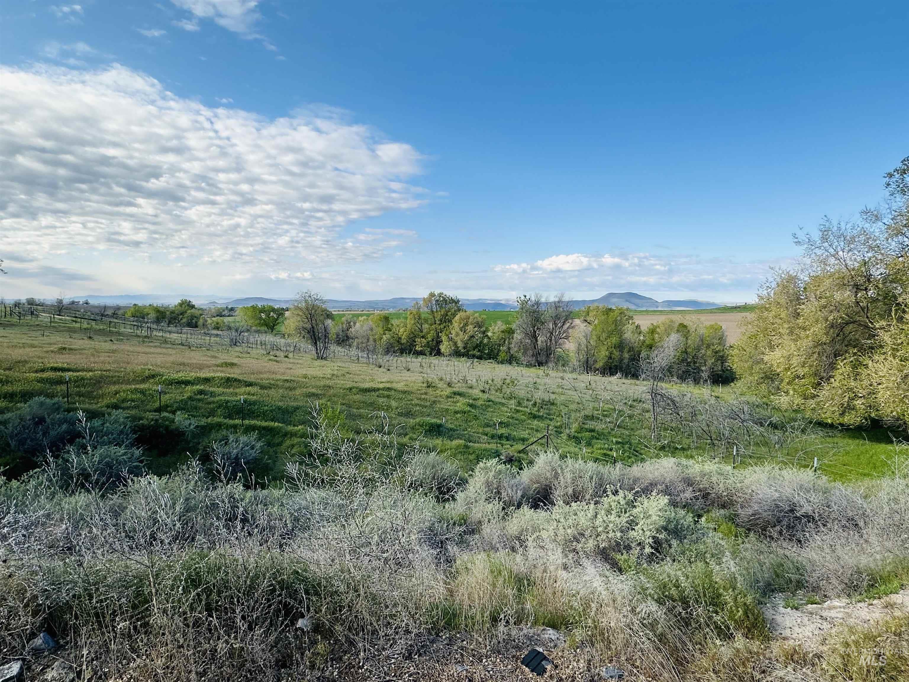 1049 Grand Avenue Nyssa, OR 97913 - Photo 43 of 50 Expansive green landscape featuring varied foliage and distant mountains under a blue sky with scattered clouds