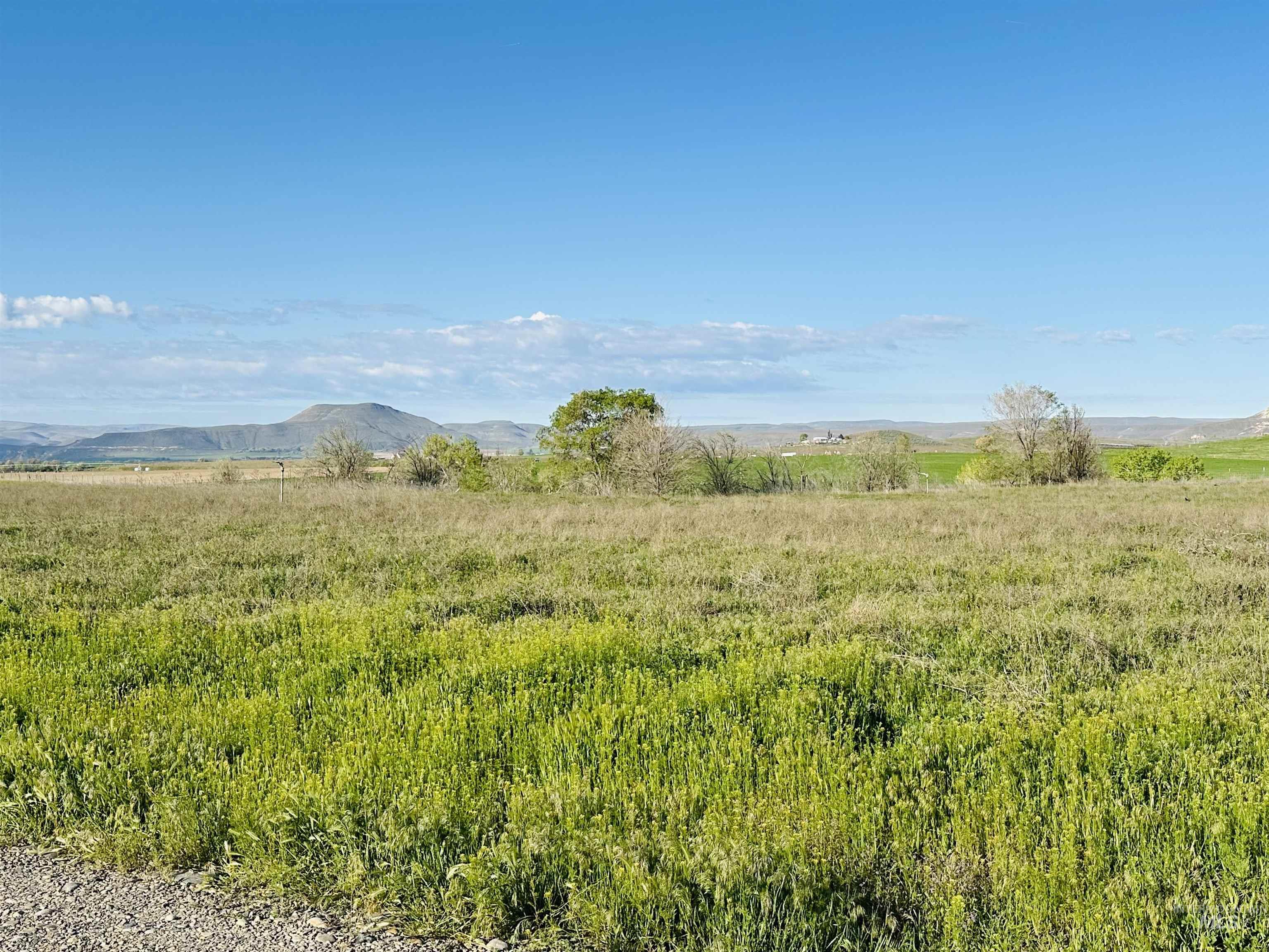 1049 Grand Avenue Nyssa, OR 97913 - Photo 47 of 50 Expansive open field with varied green vegetation and a clear blue sky
