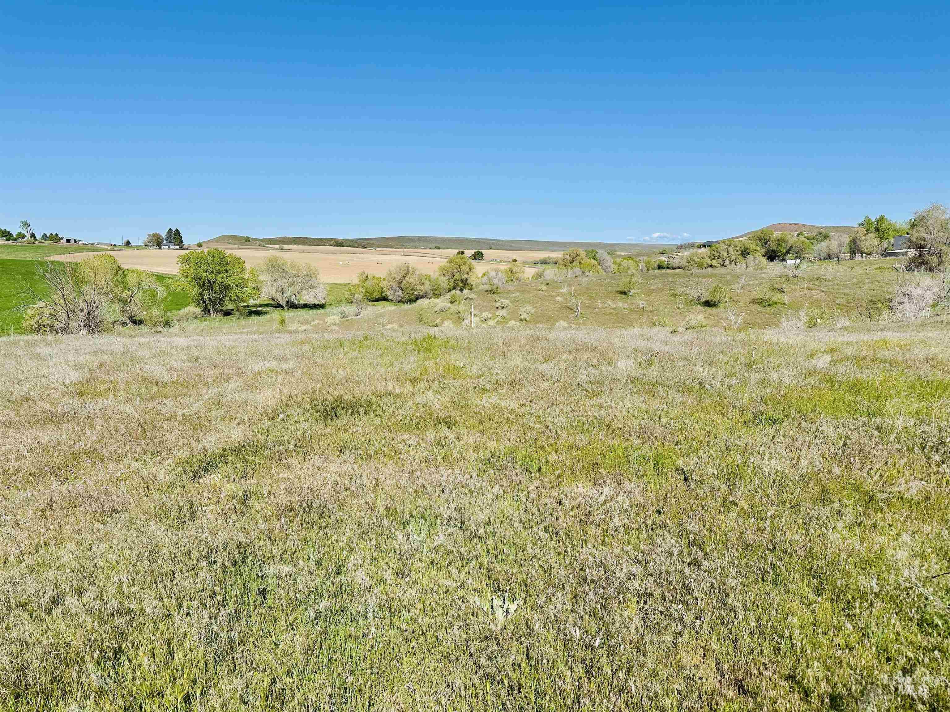 1049 Grand Avenue Nyssa, OR 97913 - Photo 50 of 50 Expansive open land featuring natural grasses and scattered trees