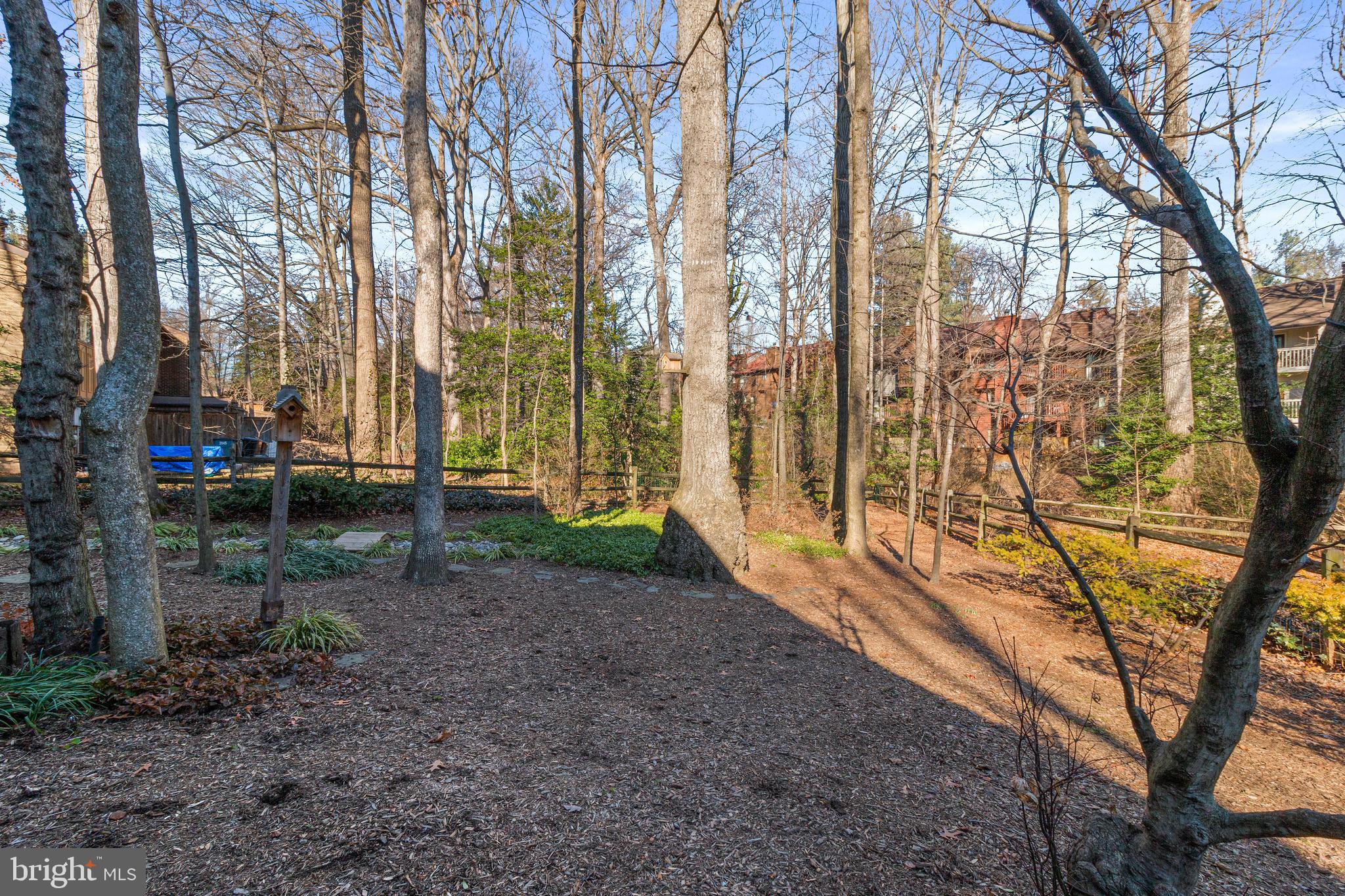 2003 Upper Lake Drive Reston, VA 20191 - Photo 75 of 89 A view of the side yard.